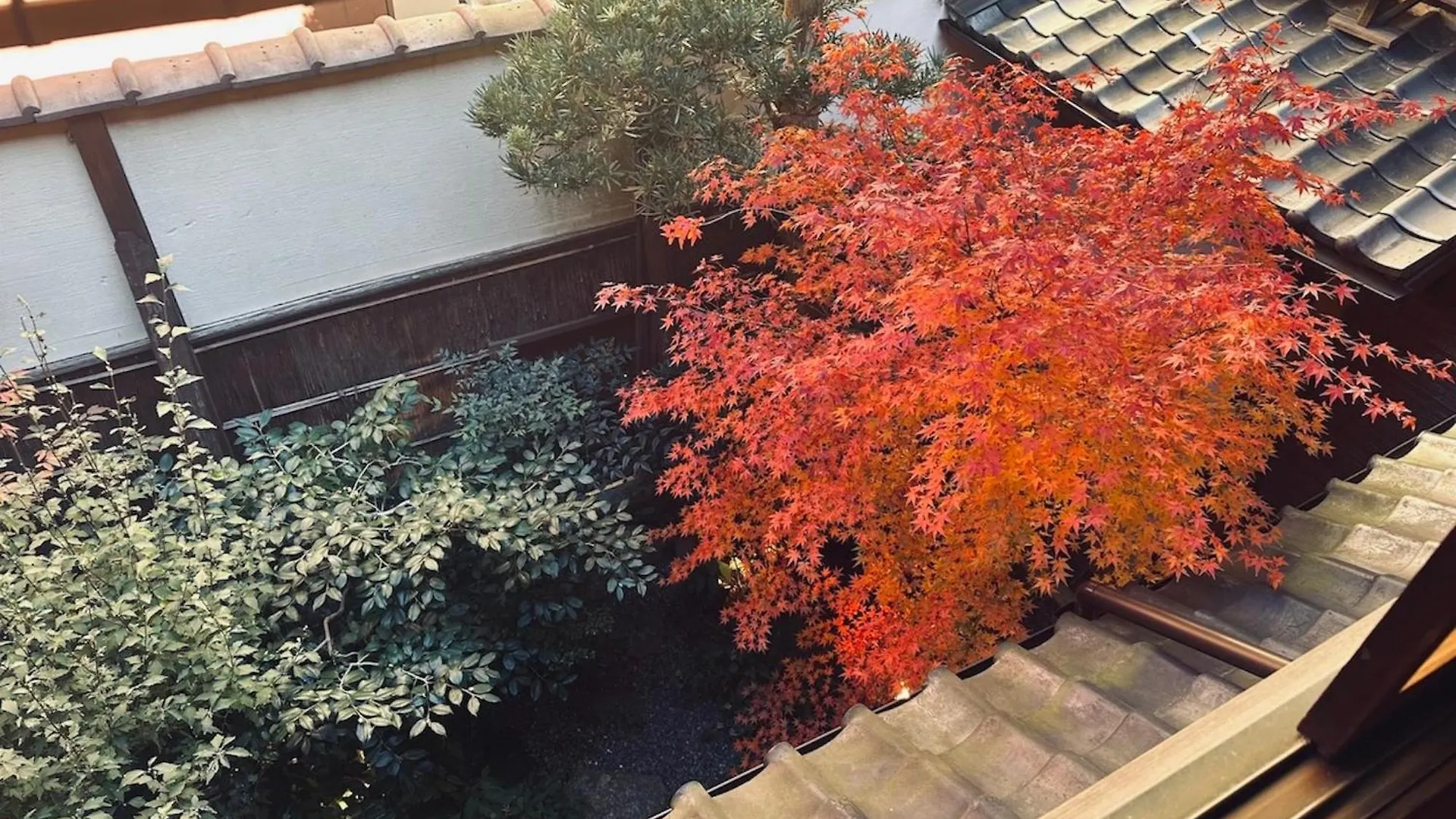 Ryokan Tsukie - Vacation Stay 14504V Kyoto