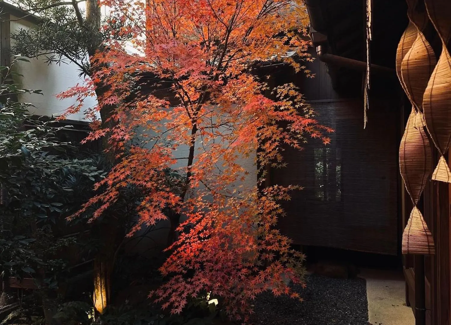 Gasthuis Ryokan Tsukie - Vacation Stay 14504V Kyoto